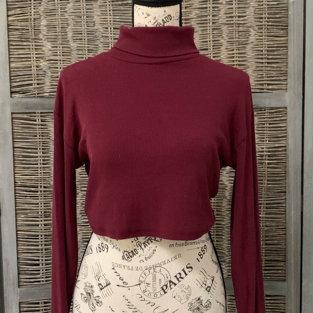 Burgundy Cropped Turtle Neck Sweater